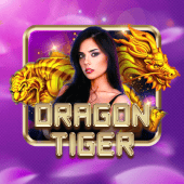 Dragon Tiger happy bingo casino